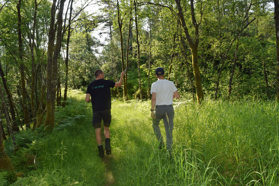 Befaring-frivillig-vern-med-AT-Skog