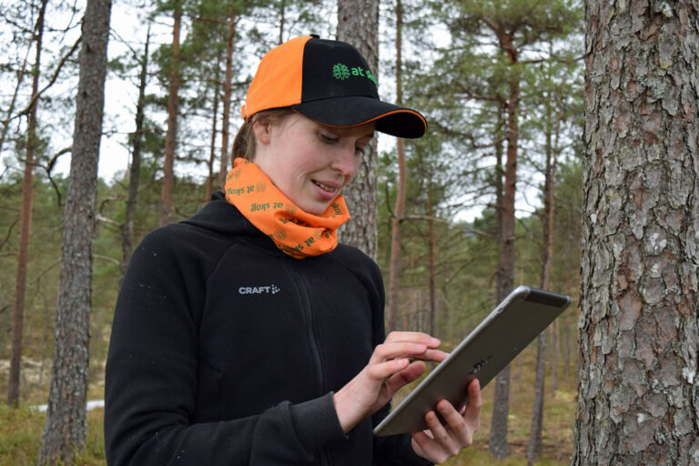 Skogbruksleder